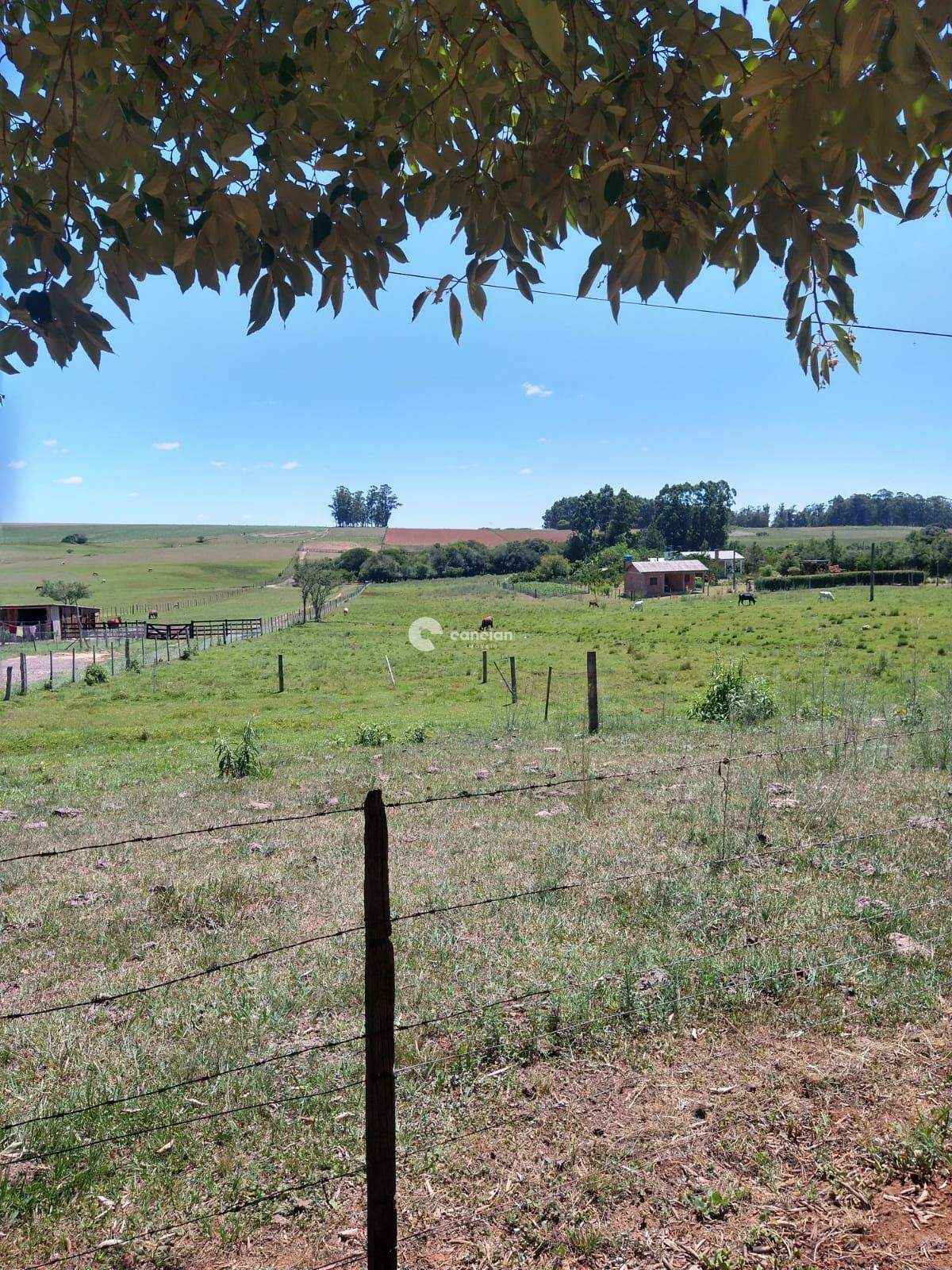 Terreno à venda no Boca do Monte: 