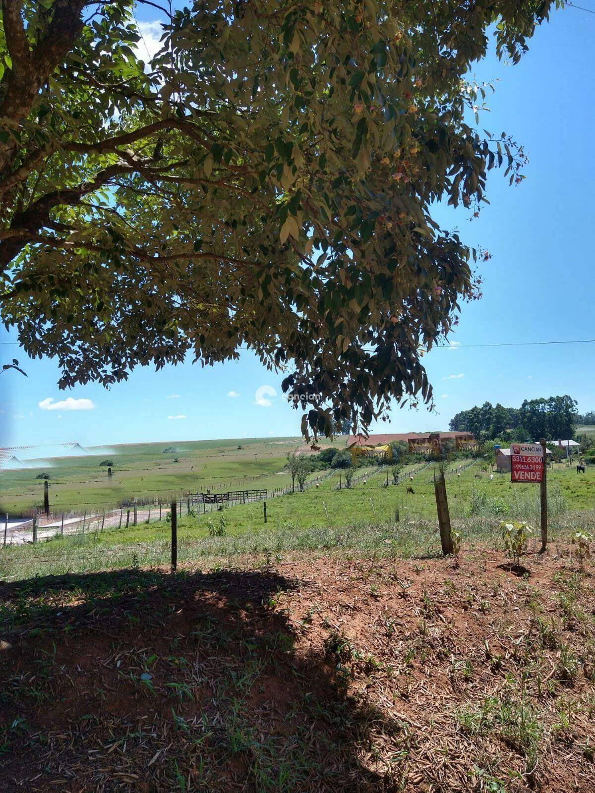 Terreno à venda no Boca do Monte: 