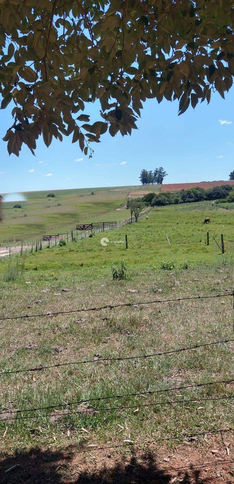 Terreno à venda no Boca do Monte: 