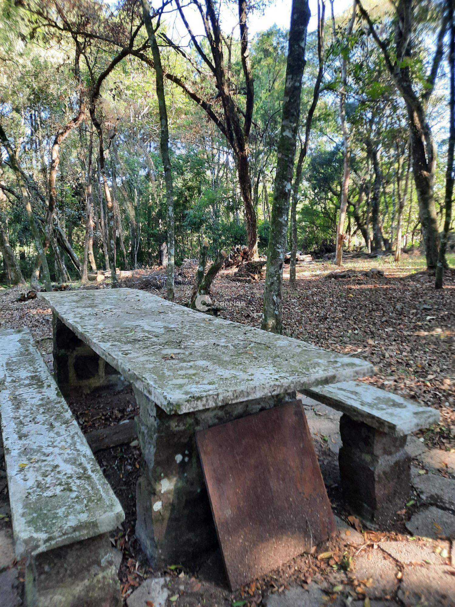Casa à venda no Vila Etelvina: 