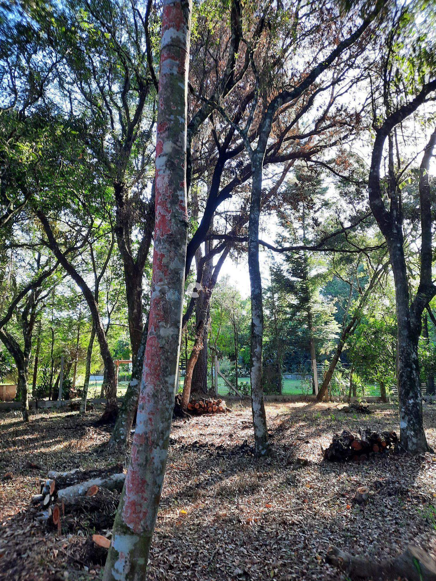 Terreno à venda no Vila Etelvina: 