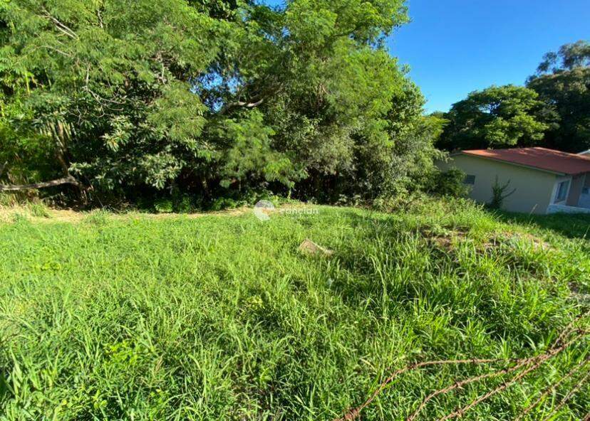 Terreno à venda no Nossa Senhora de Lourdes: 