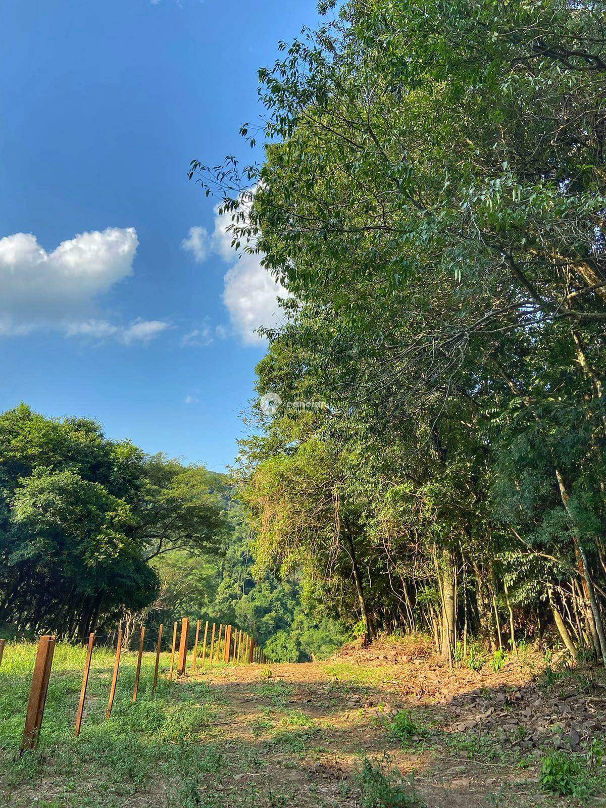 Terreno à venda no Silveira Martins: 