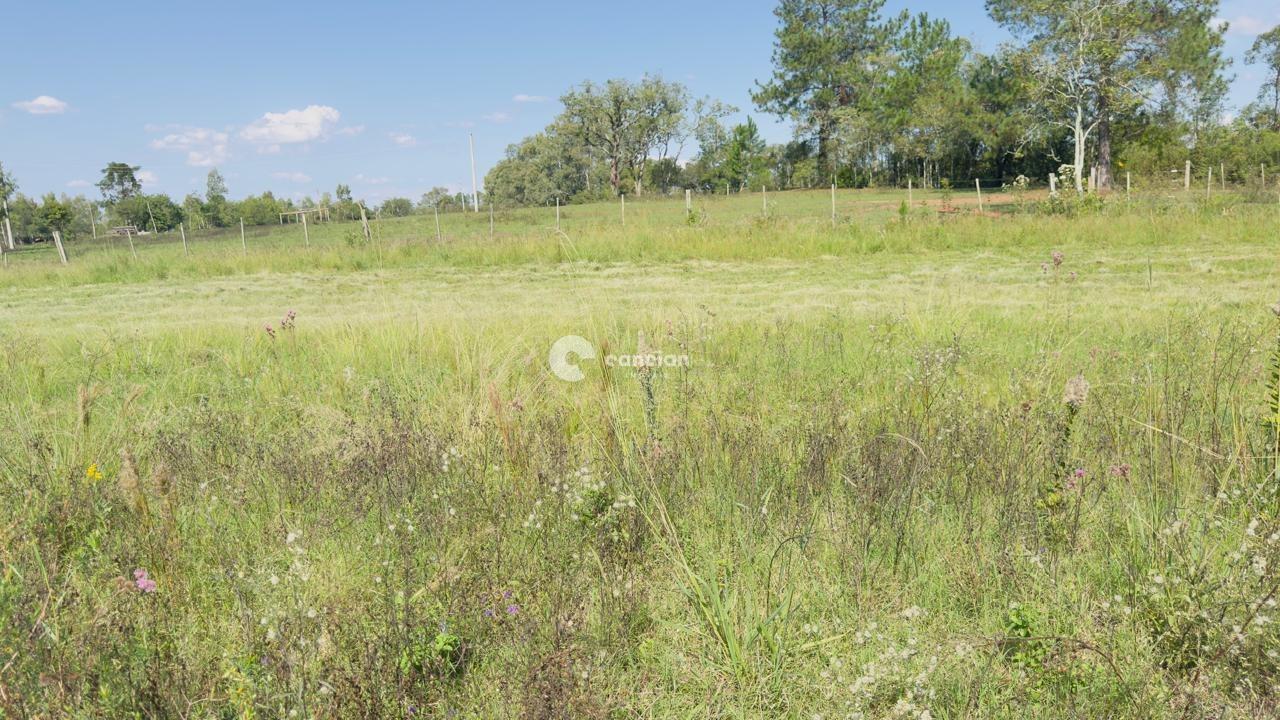 Terreno à venda no Tomazetti: 