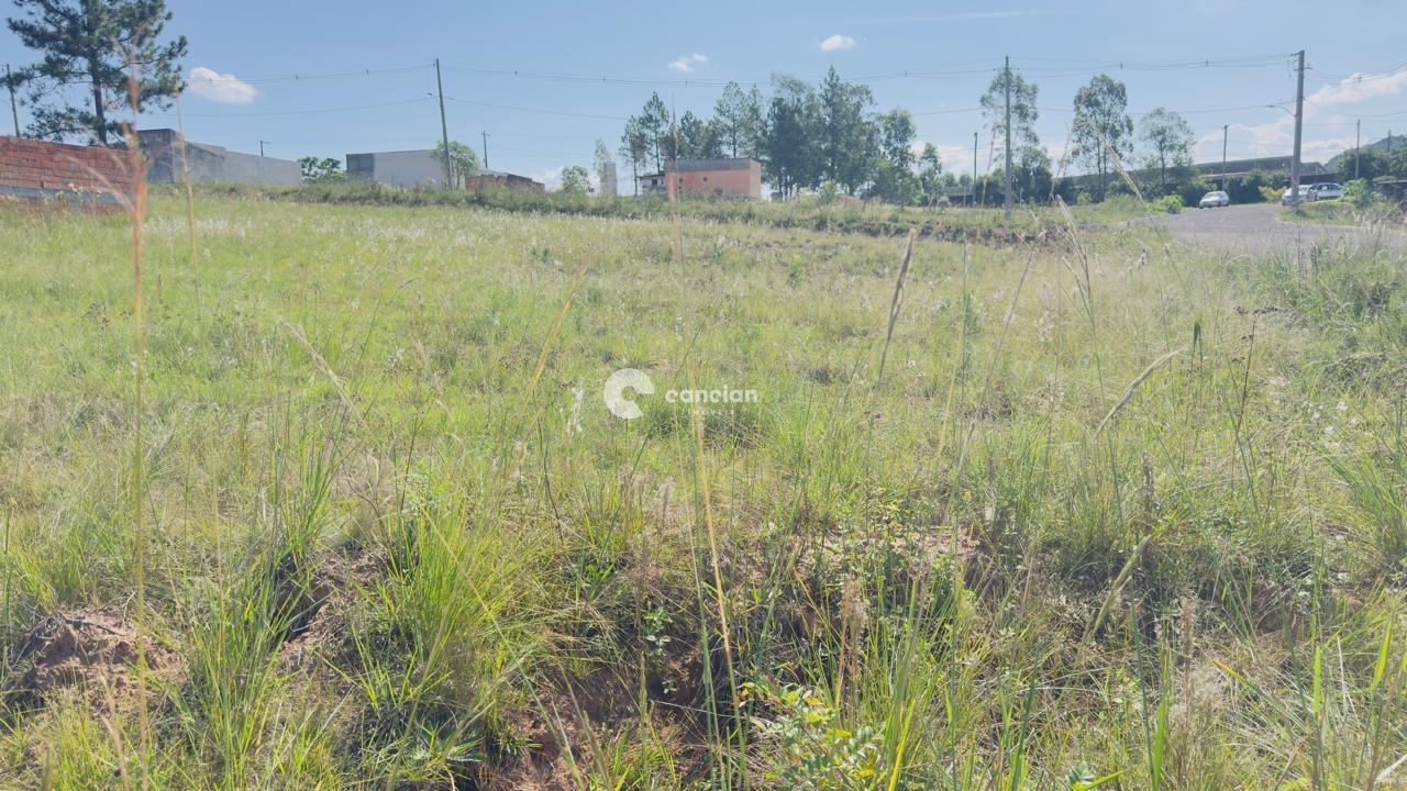 Terreno à venda no Tomazetti: 