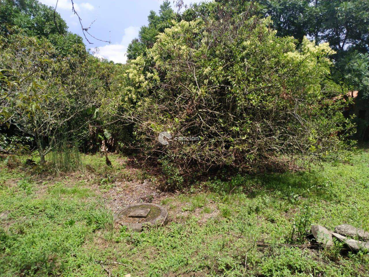 Terreno à venda no Parque Serrano I: 