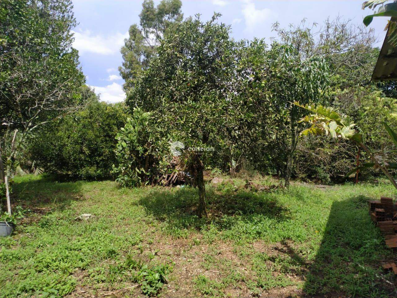 Terreno à venda no Parque Serrano I: 