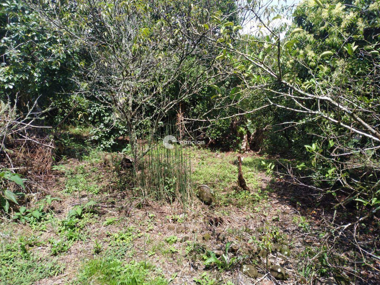 Terreno à venda no Parque Serrano I: 