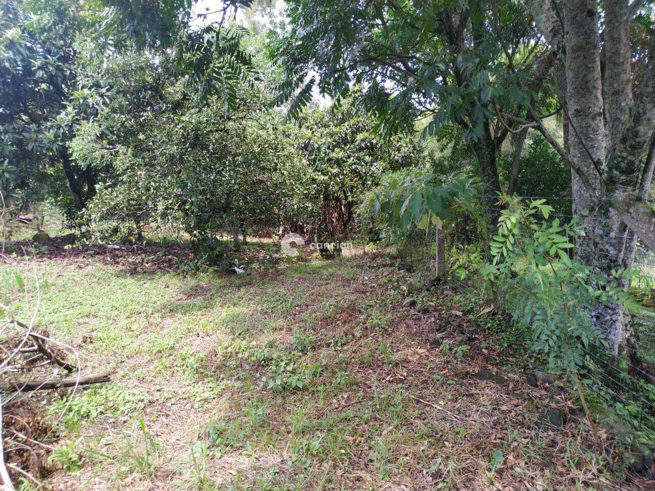 Terreno à venda no Parque Serrano I: 
