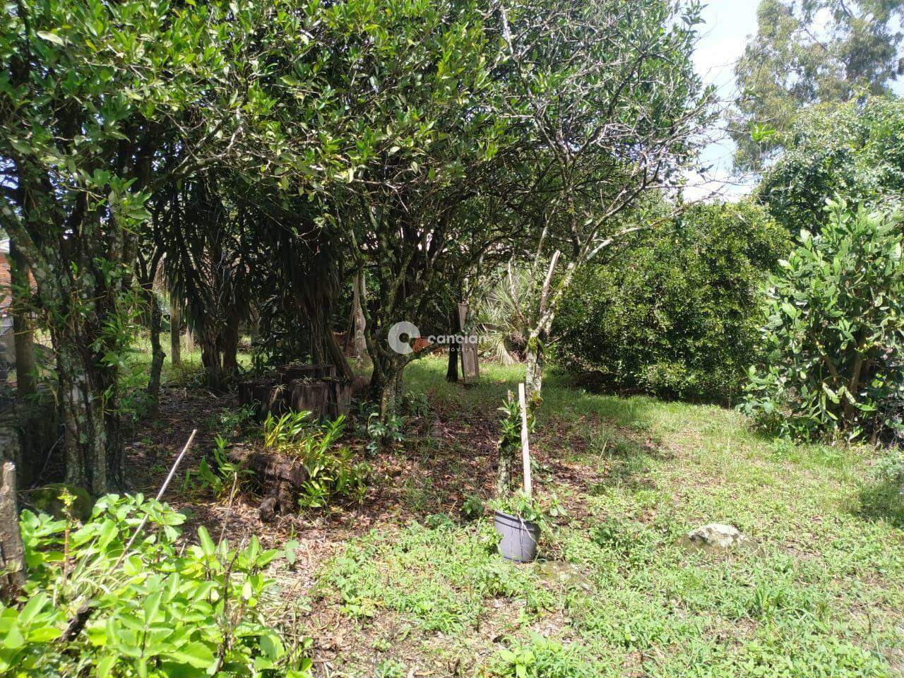 Terreno à venda no Parque Serrano I: 