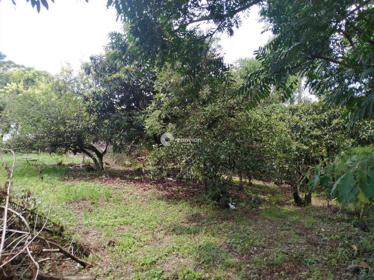 Terreno à venda no Parque Serrano I: 