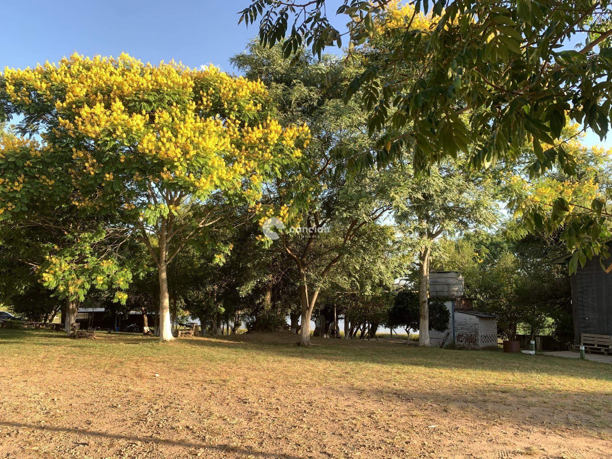 Chácara à venda no Zona Rural: 