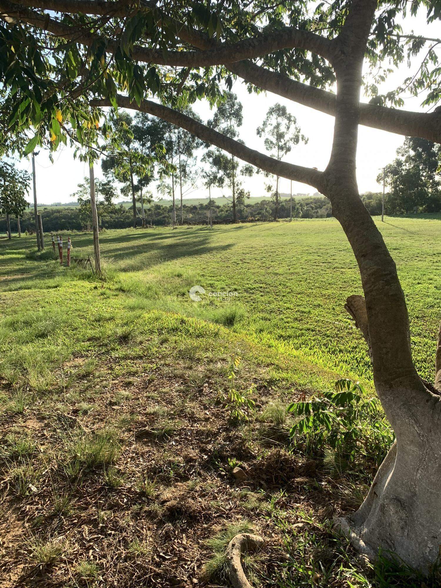 Chácara à venda no Zona Rural: 