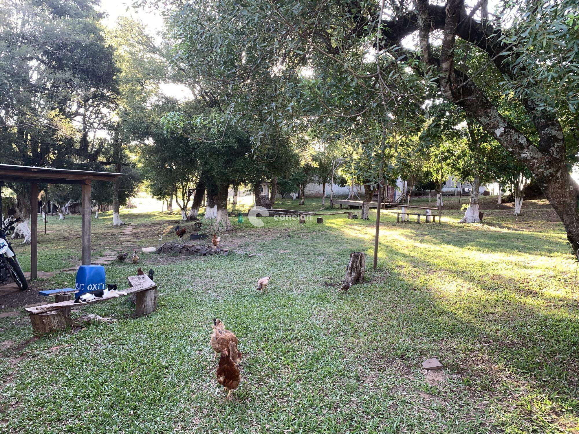 Chácara à venda no Zona Rural: 