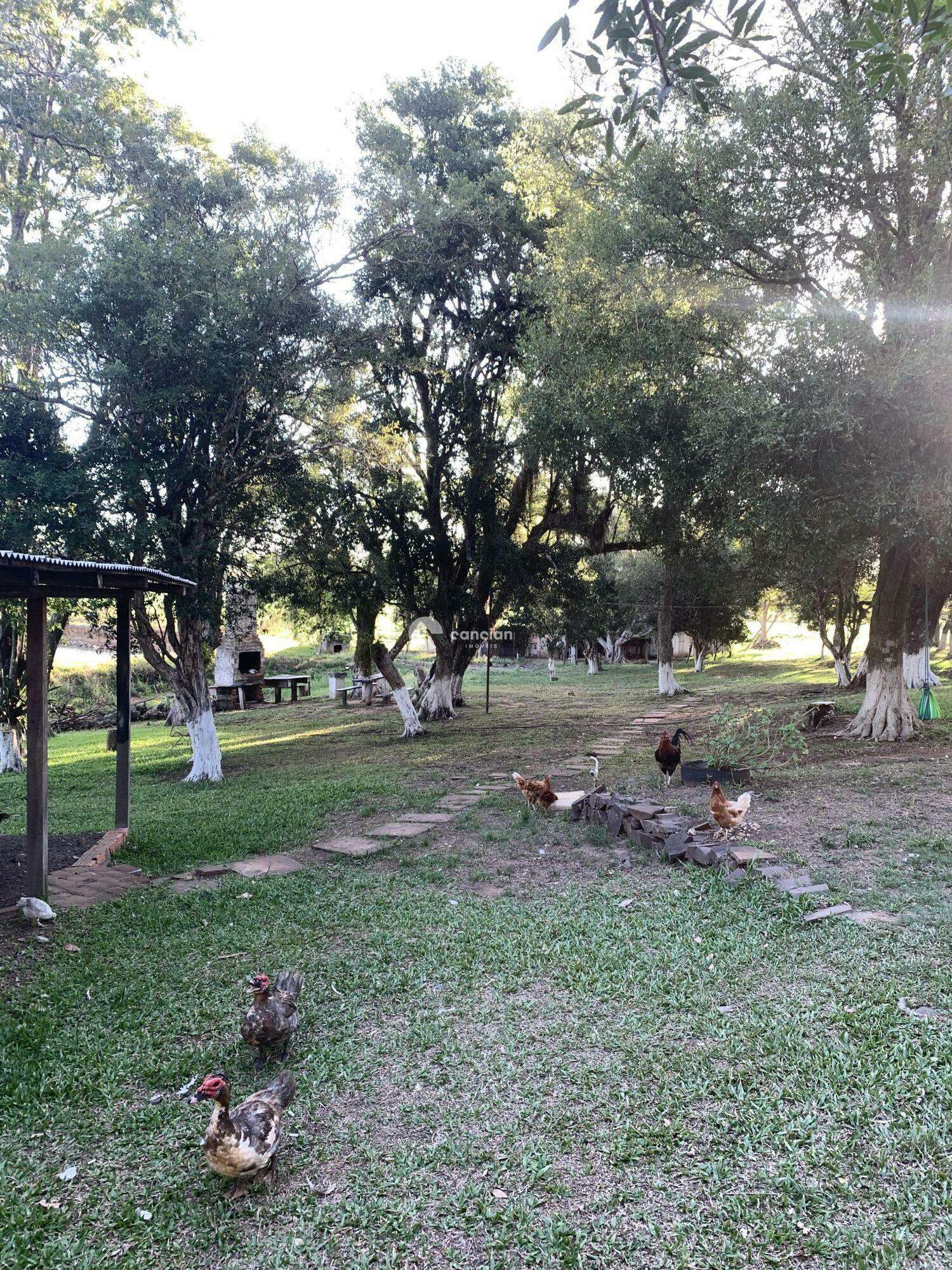 Chácara à venda no Zona Rural: 