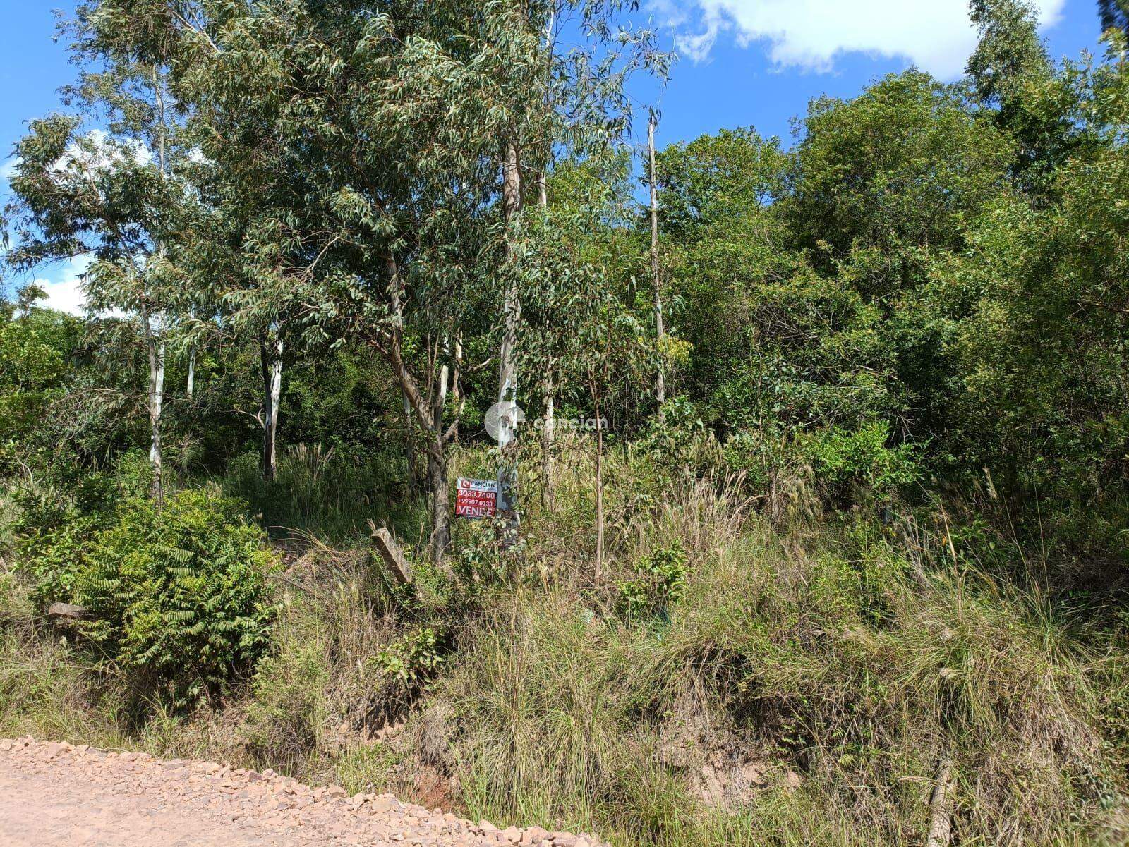 Terreno à venda no Nossa Senhora de Lourdes: 