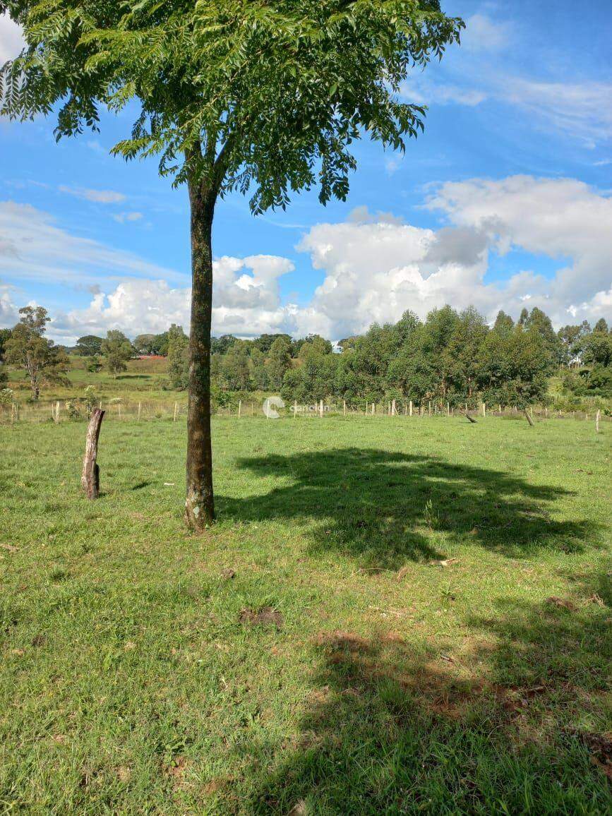 Chácara à venda no Passo das Tropas: 