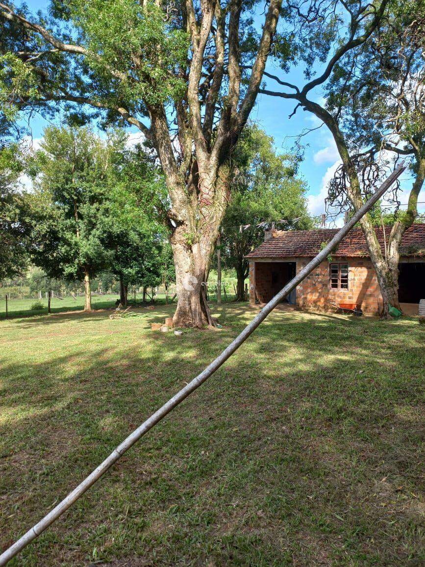 Chácara à venda no Passo das Tropas: 