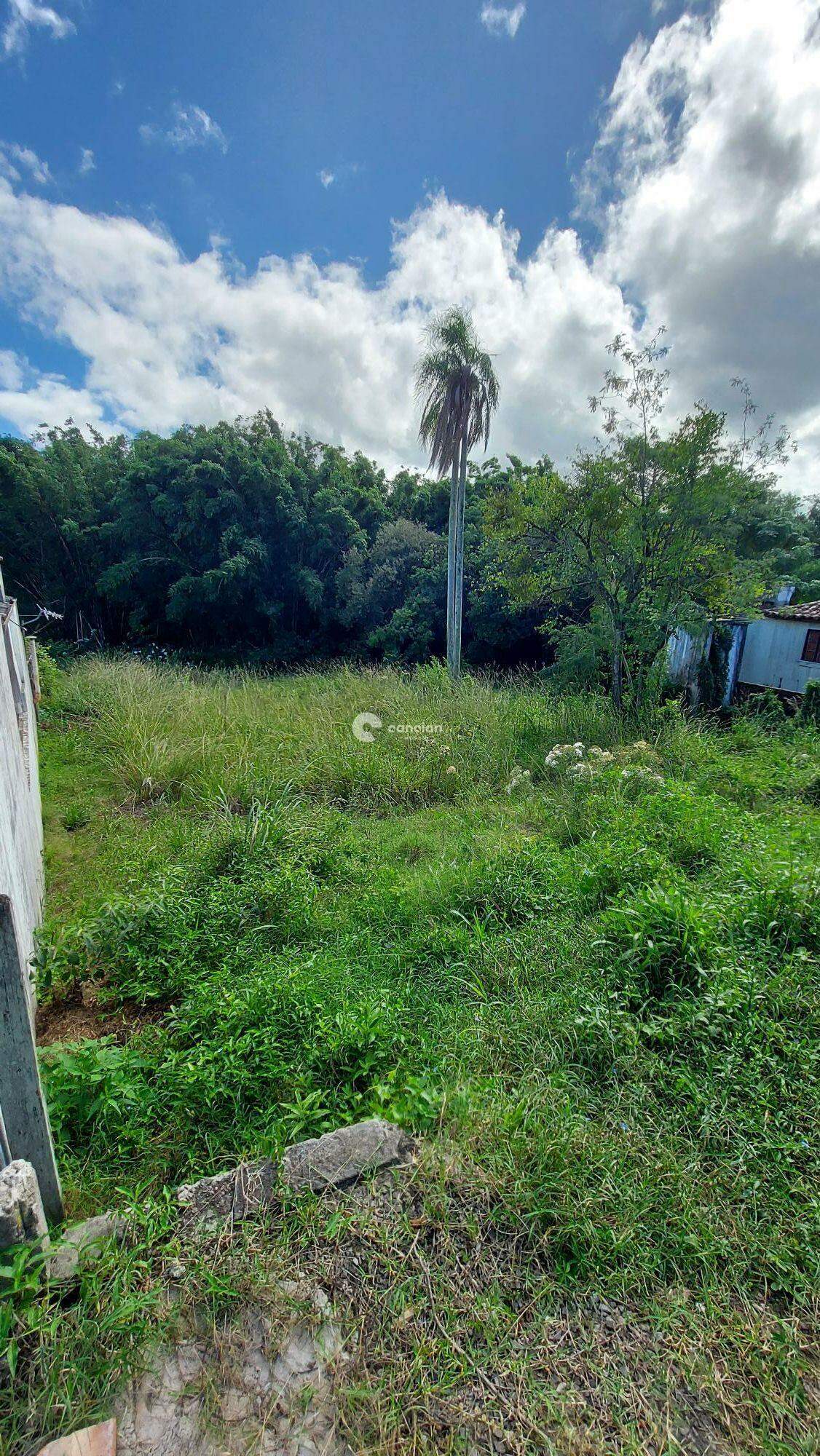 Terreno à venda no Nossa Senhora das Dores: