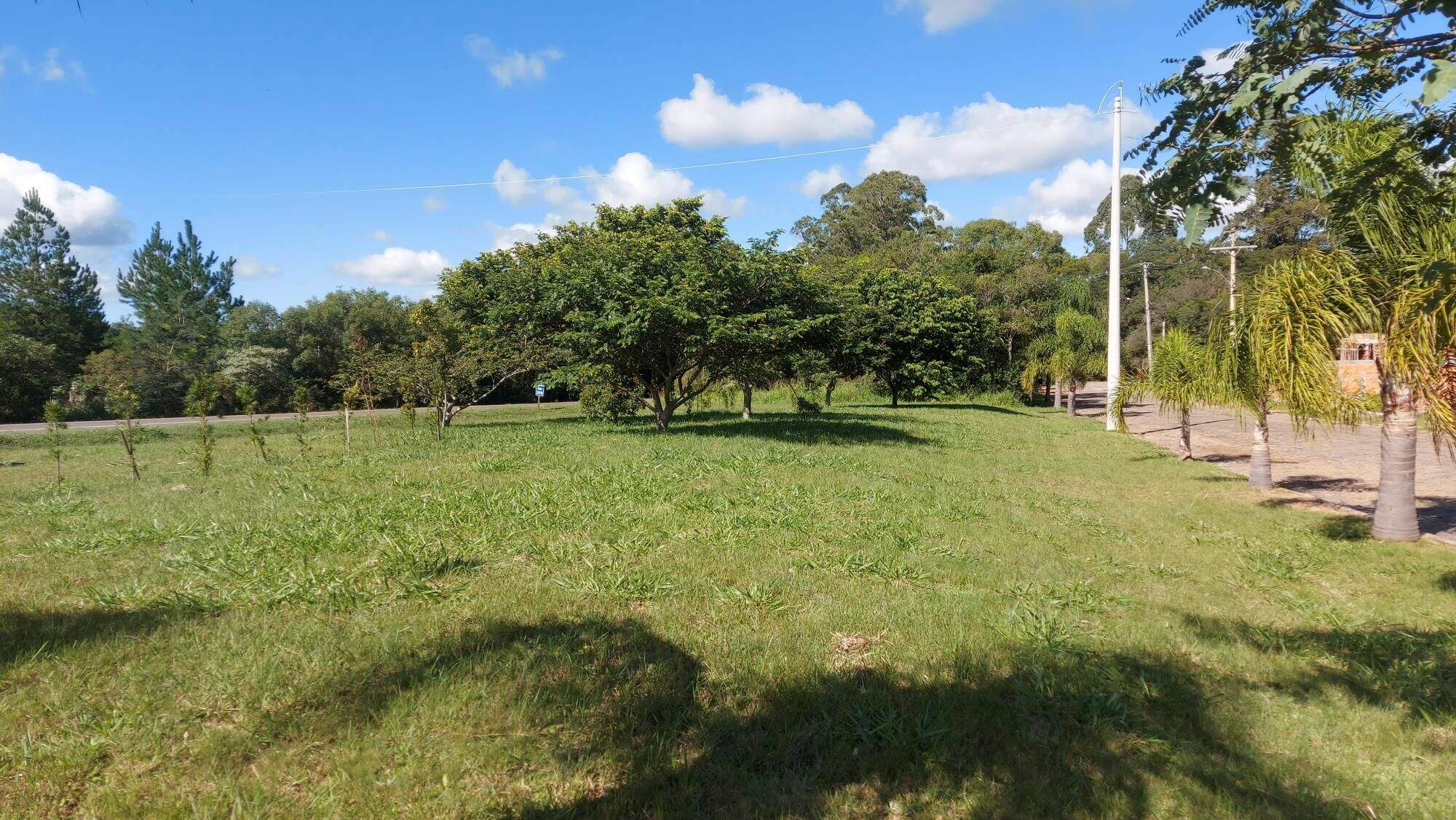 Terreno à venda no Parque Serrano: 