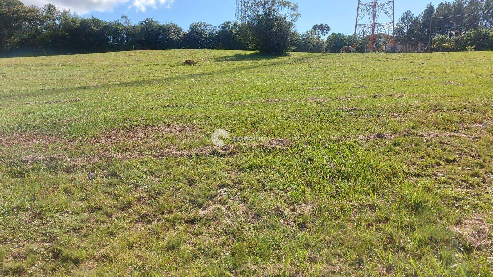 Terreno à venda no Parque Serrano: 