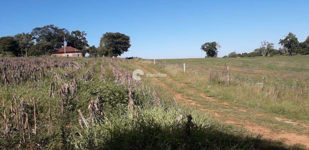 Área Rural à venda no Zona rural: 