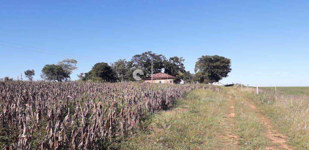 Área Rural à venda no Zona rural: 