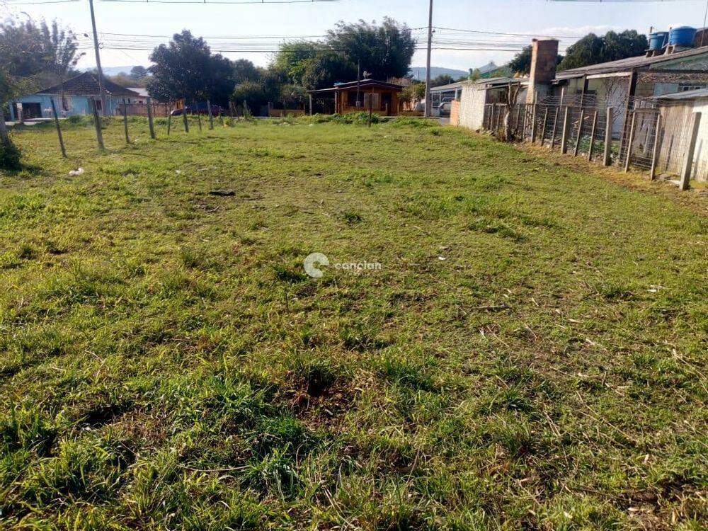 Terreno à venda no Pinheiro Machado: 