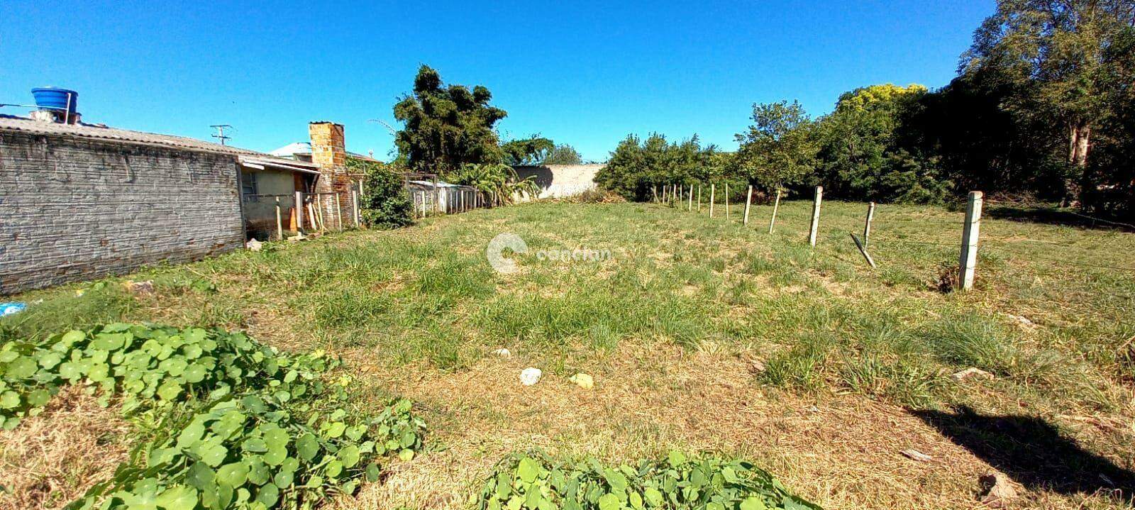 Terreno à venda no Pinheiro Machado: 