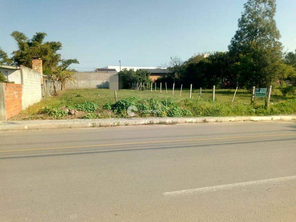 Terreno à venda no Pinheiro Machado: 
