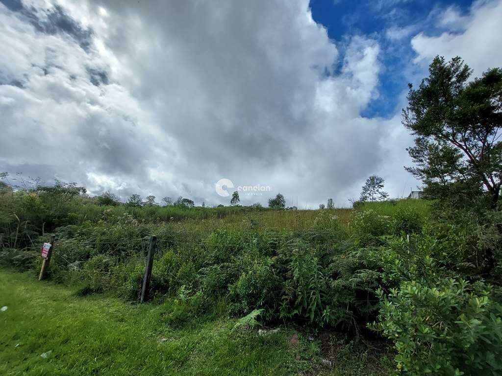 Terreno à venda no Silveira Martins: 