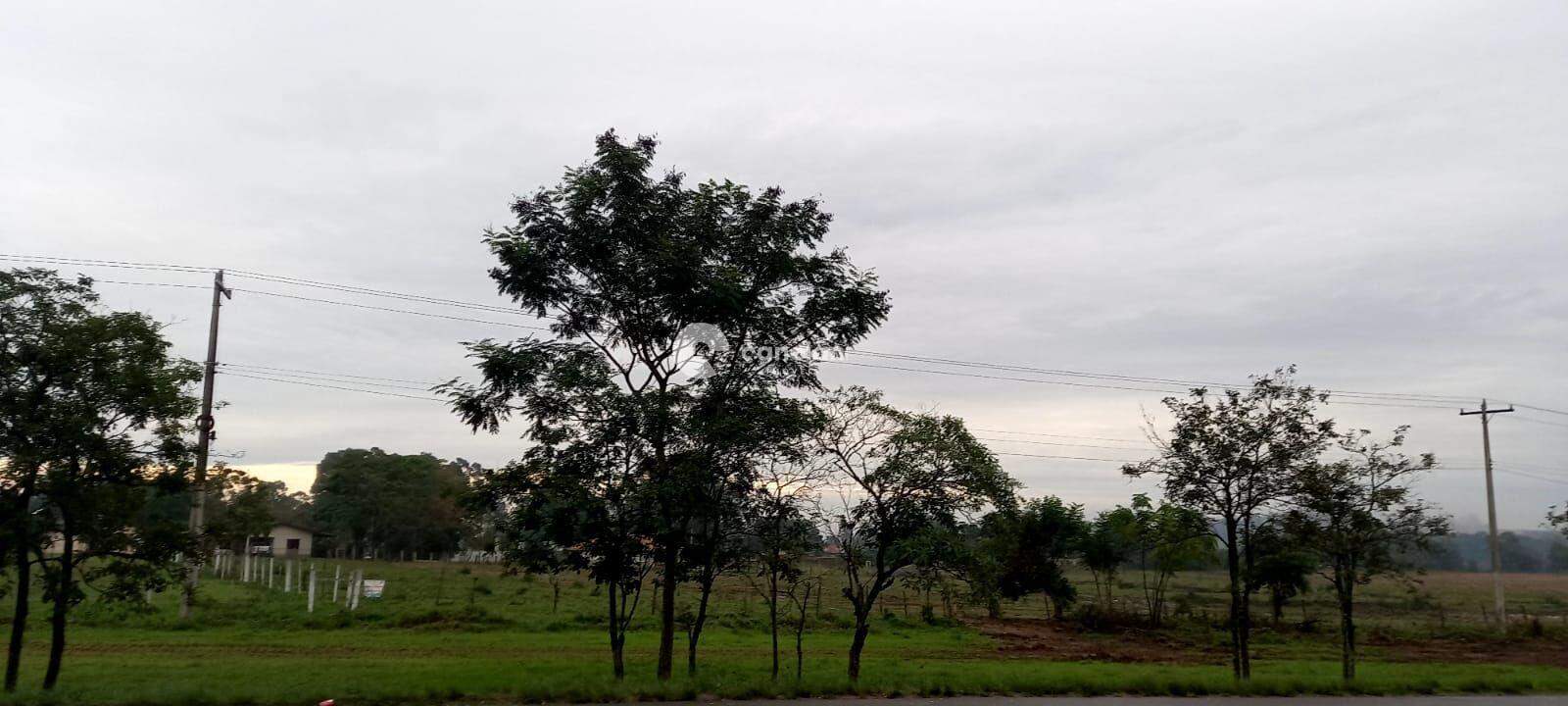 Terreno Comercial à venda no Passo das Tropas: 