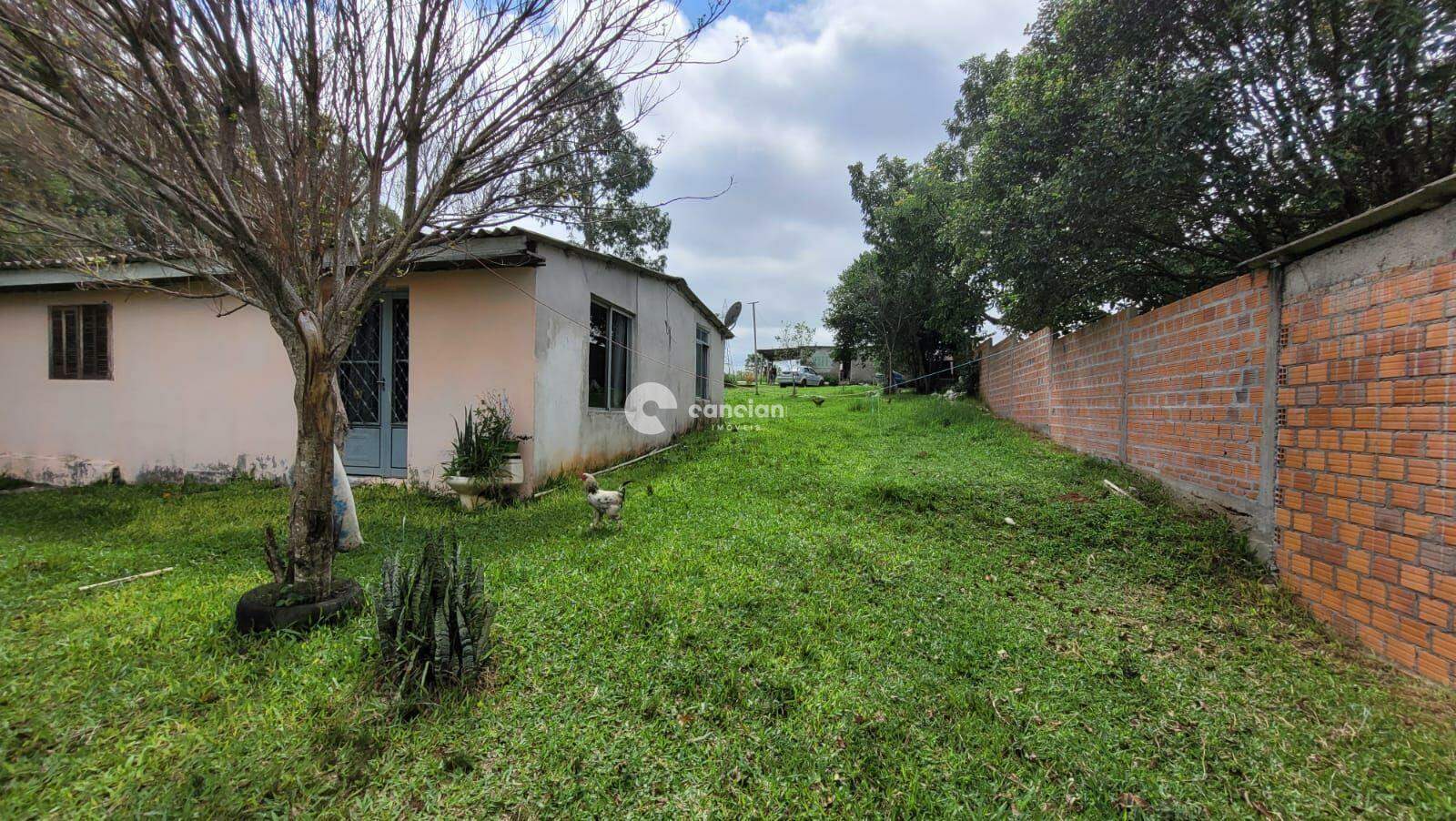 Chácara à venda no Boi Morto: 