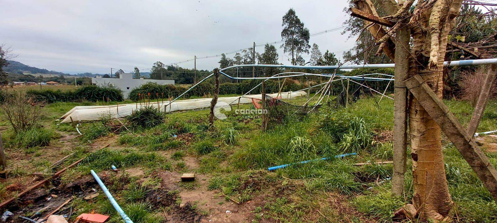 Casa à venda no Diácono João Luiz Pozzobon: 