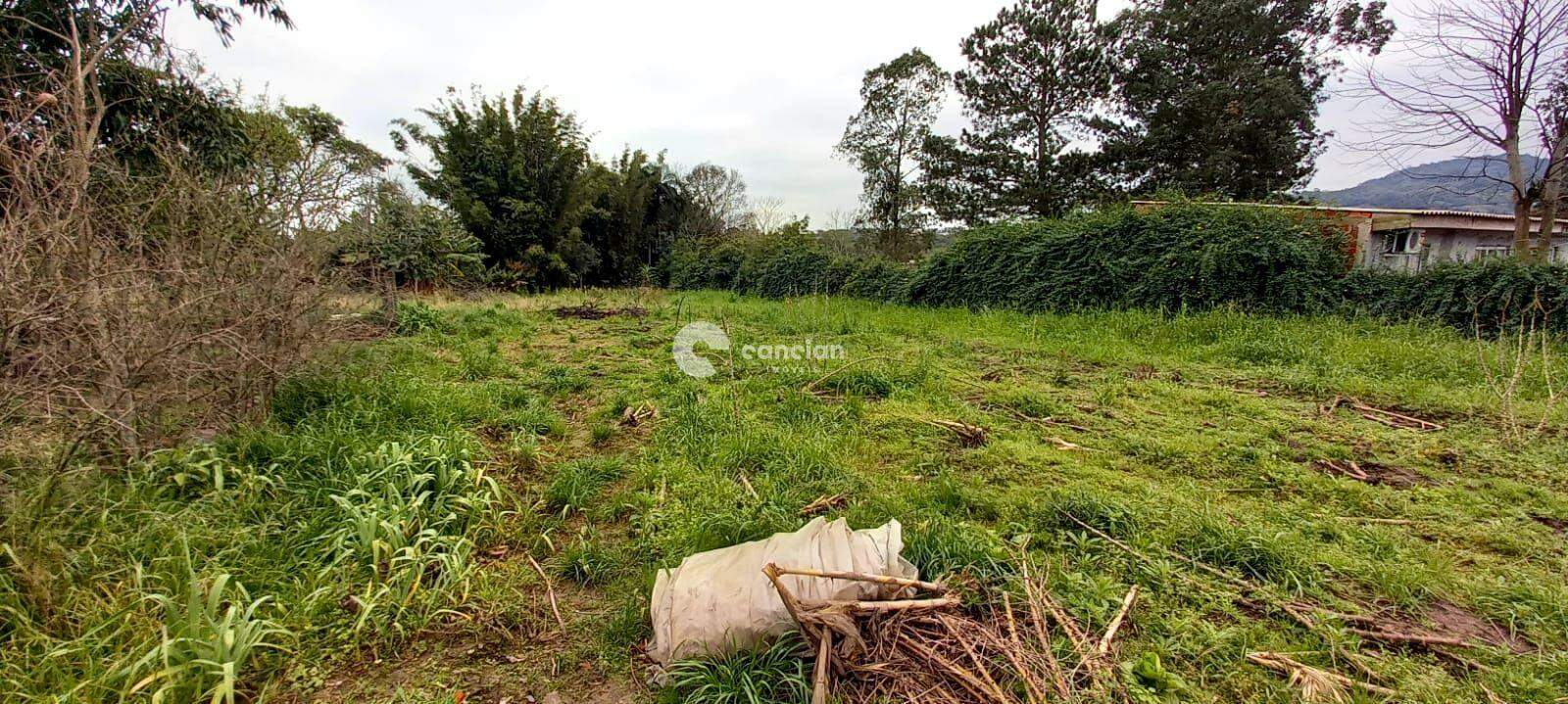 Casa à venda no Diácono João Luiz Pozzobon: 