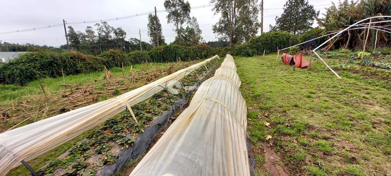 Casa à venda no Diácono João Luiz Pozzobon: 