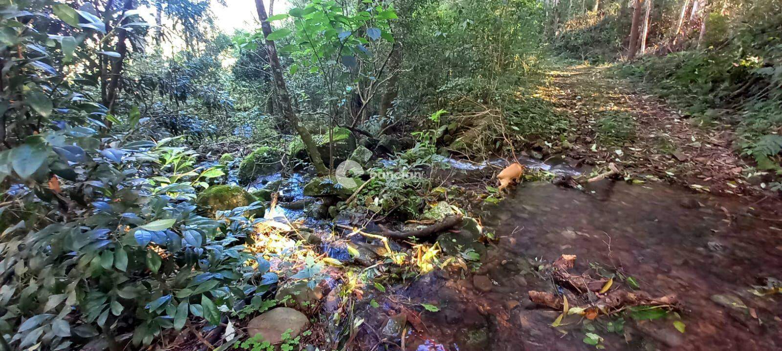 Área Rural à venda no Arroio Grande: