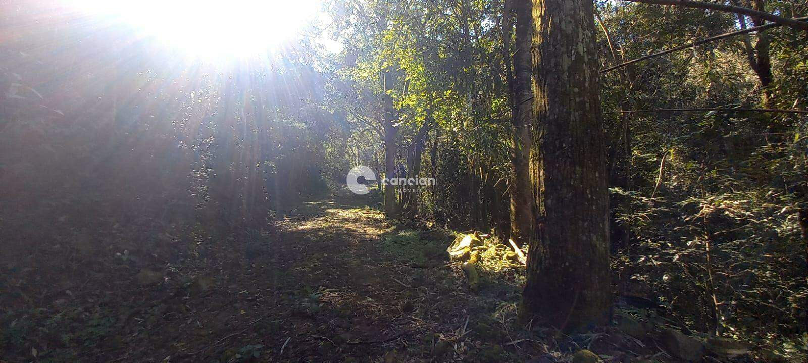 Área Rural à venda no Arroio Grande: