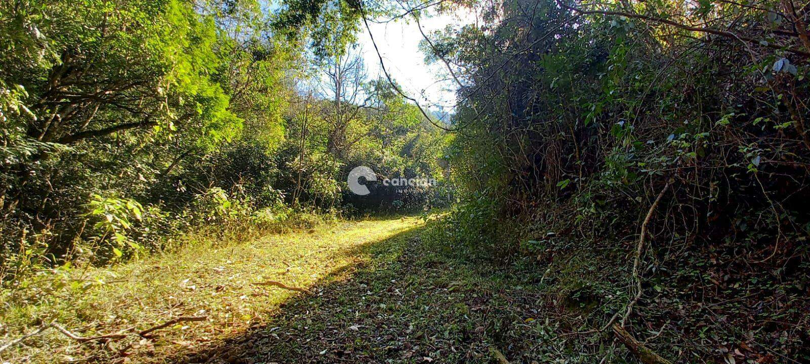 Área Rural à venda no Arroio Grande: