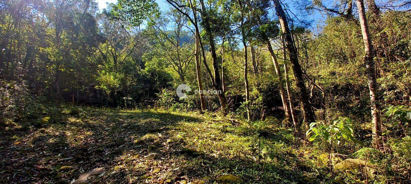 Área Rural à venda no Arroio Grande: