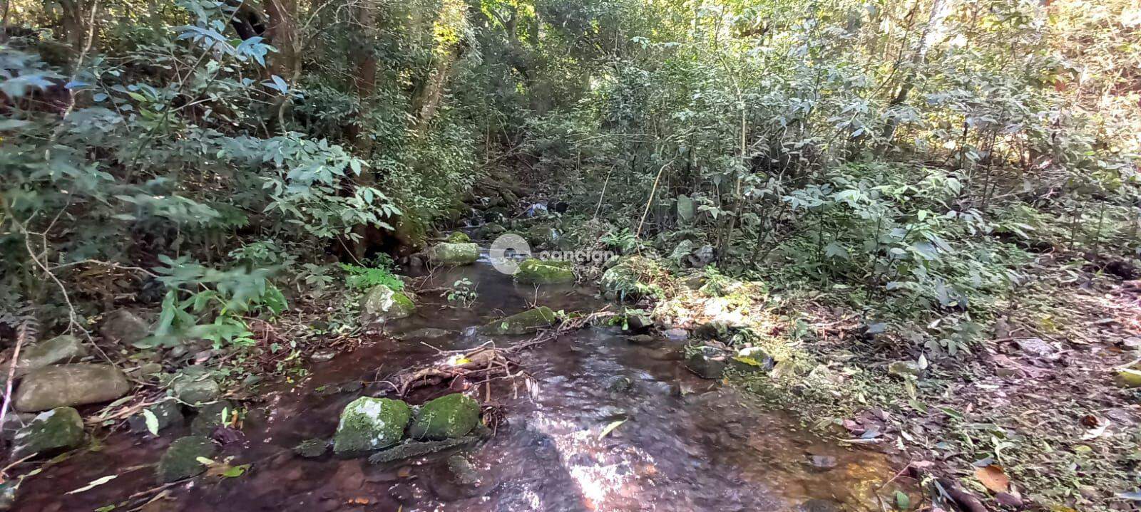 Área Rural à venda no Arroio Grande: