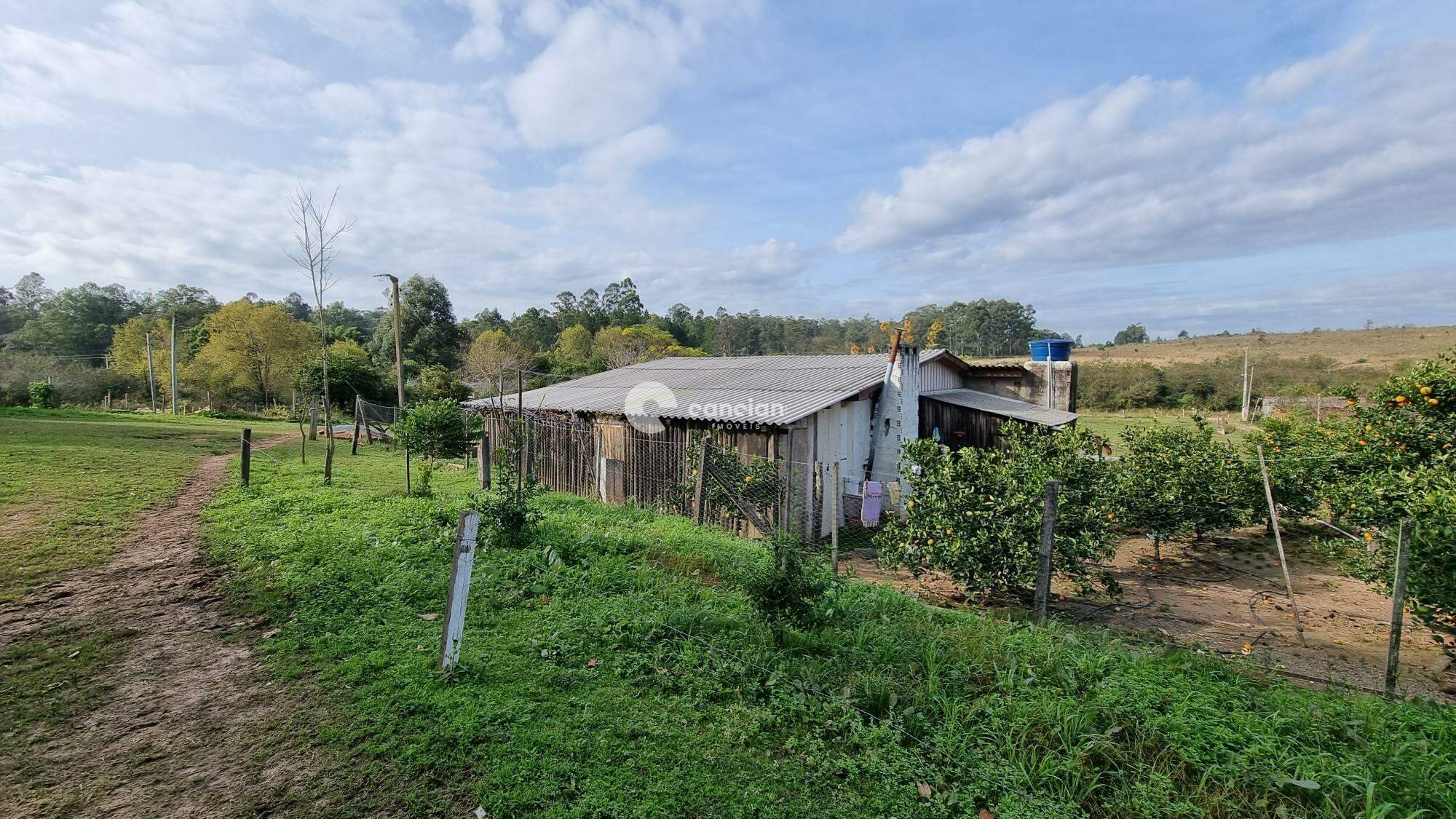 Chácara à venda no Boi Morto: 