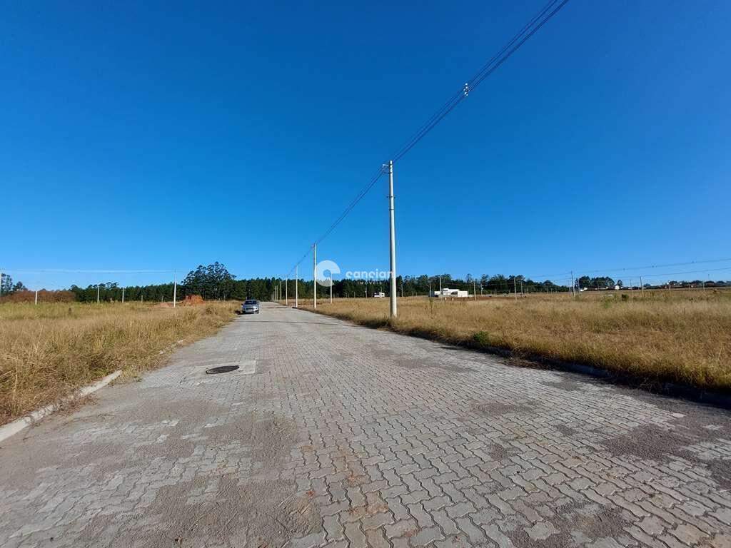 Terreno à venda no Camobi: 