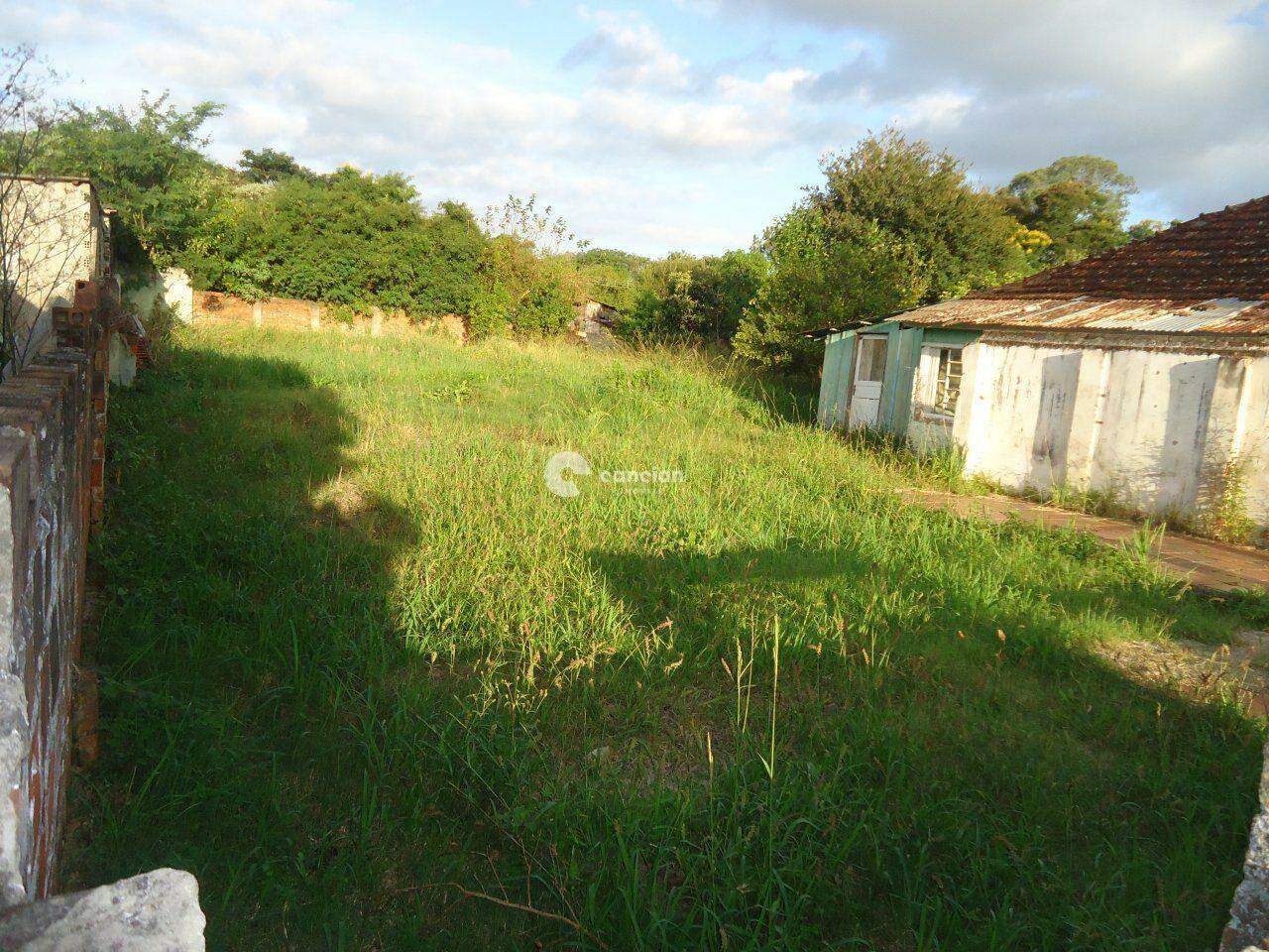 Terreno à venda no Campestre do Menino Deus: 