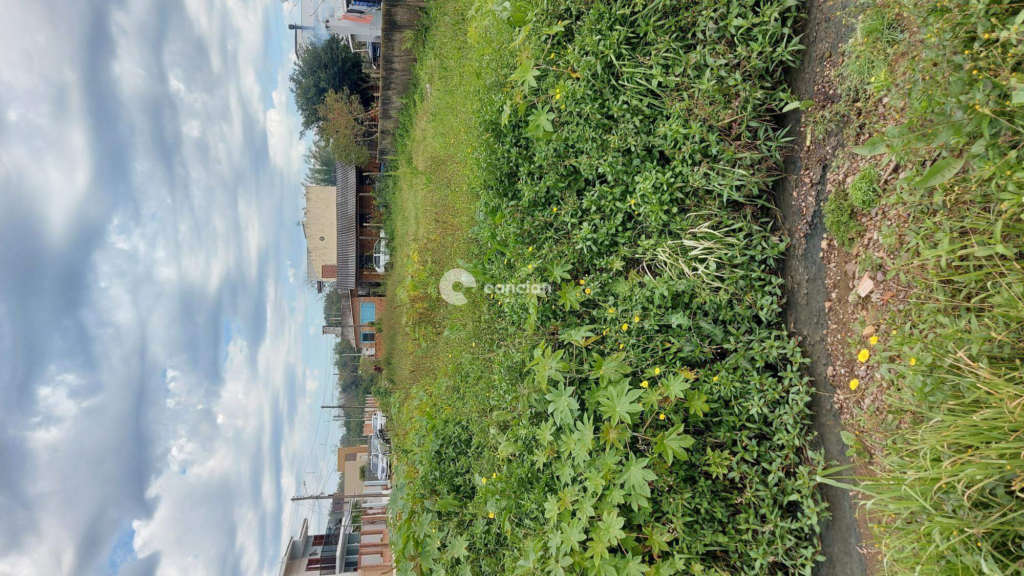 Terreno à venda no São José: 