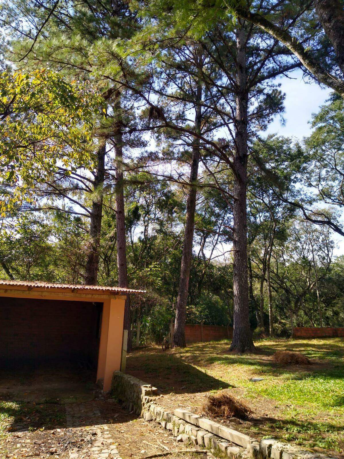 Casa à venda no Vila Etelvina: 