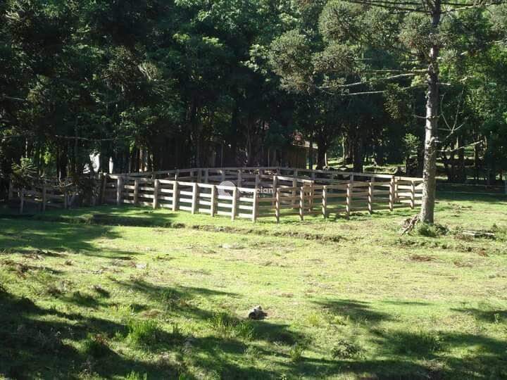 Área Rural à venda no Itaara: 