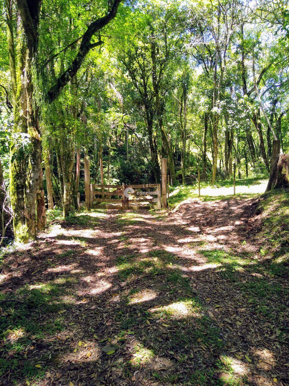 Área Rural à venda no Itaara: 