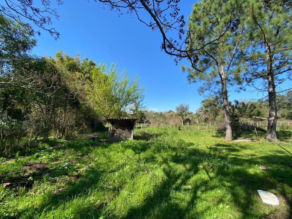 Terreno à venda no Pinheiro Machado: 