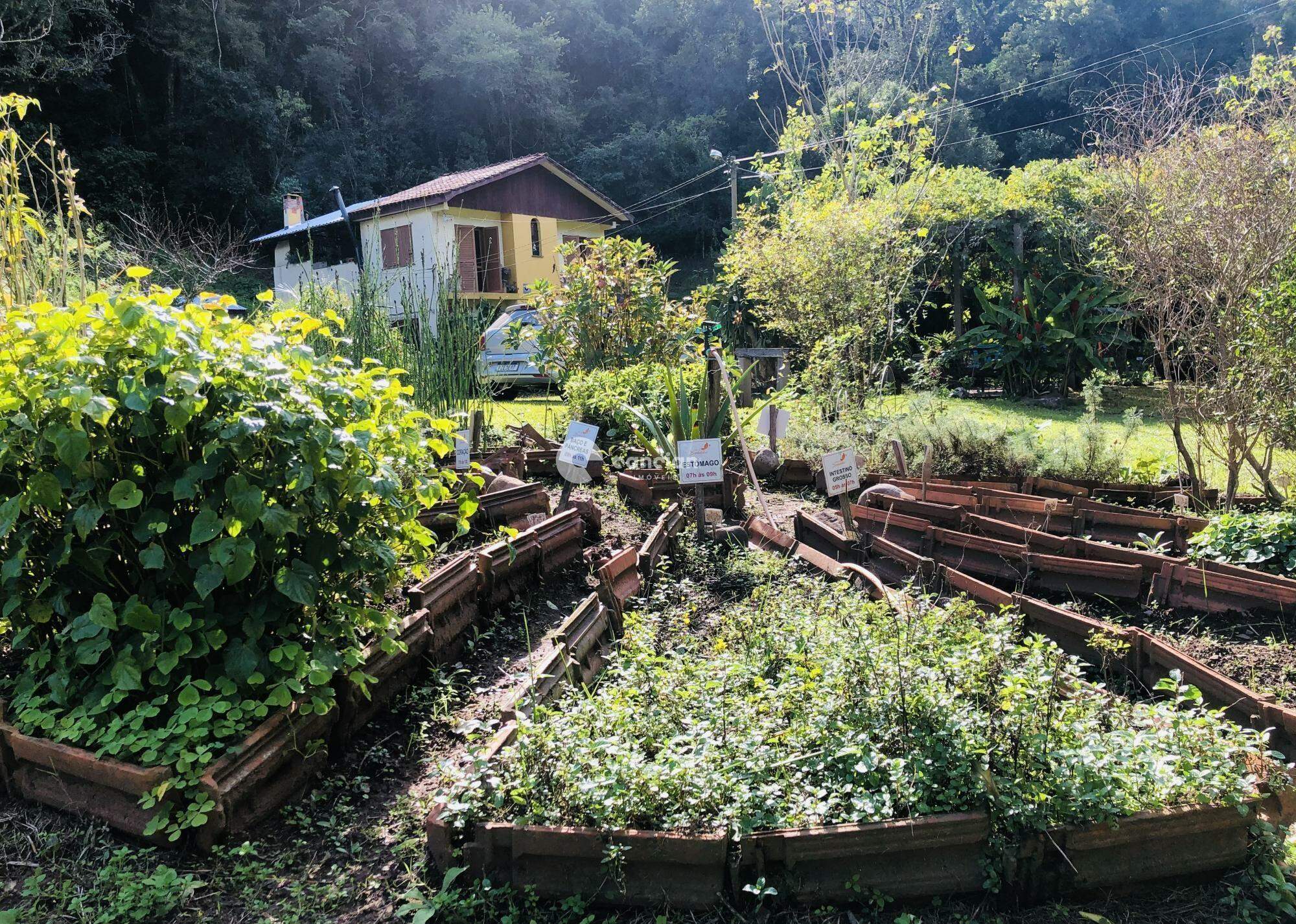 Chácara à venda no Rincão dos Minelo: 